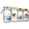 Magic Butterfly Jar